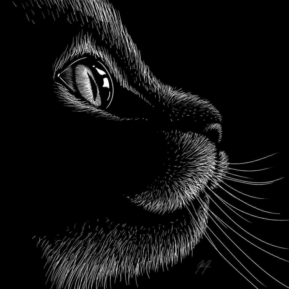 Panthercat13 ๐ค๐โโฌ - Picture 6 of 8